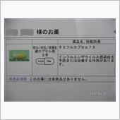 インフルエンザに感染し 1/ ...