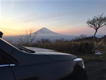 今年は、途中しか見なかったけど・・・