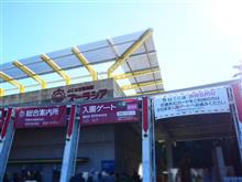 サバンナに行きたくなったら サバンナに行きたくなったら