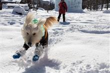 岐阜県荘川でスノーシュートレッキングと雪遊びしてきました(*^_^*)　～1日目～