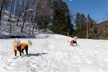 岐阜県荘川でスノーシュートレッキングと雪遊びしてきました(*^_^*)　～２日目～