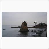山ツリ特別編 ! 三浦半島編