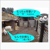 うちに来るかい？　ﾍ(￣▽￣ ...