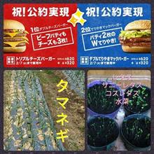 Mバーガー食いながら農作業♪