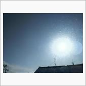金曜昼雪はやんだようだ