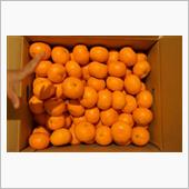 回顧録5　冬の終りに向かい