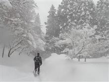 またまた、滋賀へ雪遊びに行ってきました(*^_^*)