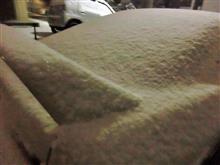 雪降ってきました 雪降ってきました