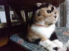 色々やって成果は…(&#180;д｀|||)