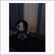 土曜はむりだったんで、昼から行ってきました