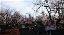 春の嵐で春二番～～～～～～ (/&#180;θ｀)/ アーレー 