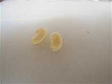 小笠原島豆腐を作りたい(その3)