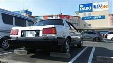 昨日は・・・