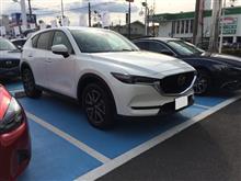 新型車試乗 新型車試乗