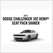 2017 Dodge Cha ...
