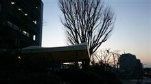 日が長くなった(=゜ω゜)ボー・・・