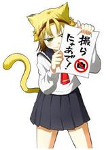 地元だがや・・・八十亀ちゃん・・・名古屋