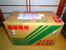 着弾しました