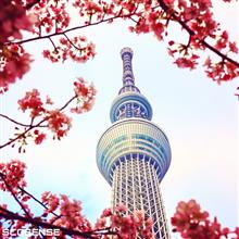 3月になりました
