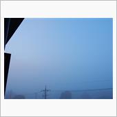 ３月３日　霧で真っ白けなラス ...