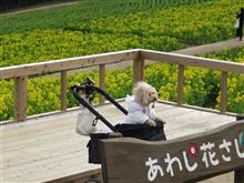  一足お先に淡路島。カフェのち花さじき