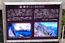 春霞の富士山③　薩埵峠　(2017 .2)