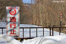 今日のお散歩(^^♪