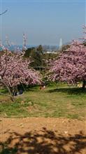 静豊園