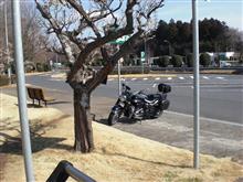 もうすぐシーズン到来♪ もうすぐシーズン到来♪