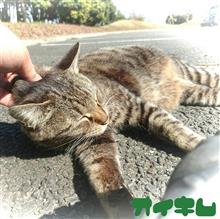 アッツアツでも大丈夫｡｡｡(^◇^;)