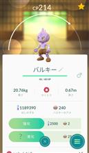 ついにラス１♪
