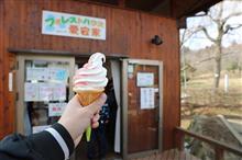 第１２９回むらさきいもソフトクリームを食べるプチオフ