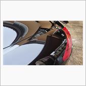 春！？3月初洗車。