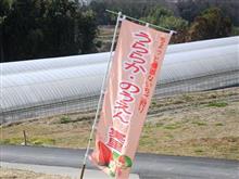 いちご食べ放題♪