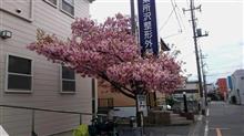 早く戻って来て～(T-T)