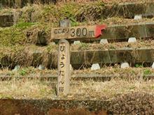 早過ぎました（笑）