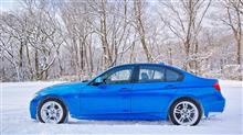 僕がBMWに乗り始めて1年が経ちました。