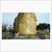 週末は静岡に居ます