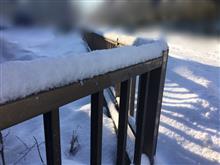 一気に今朝も降りました☃️