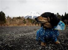 先々週からのお話し…鬼長文です<(_ _)> 先々週からのお話し…鬼長文です<(_ _)>