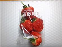 春のソコリ探検