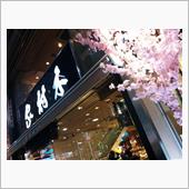 銀座は春