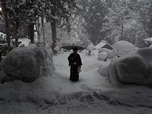 粉雪　つぶ雪　綿雪　ざらめ雪　みず雪　かた雪　春待つ氷雪
