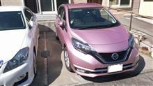 弟の家で洗車。