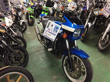 ZRX1100