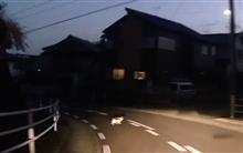 カーブの途中に猫がいてびっくり