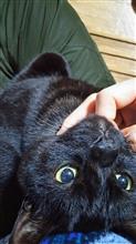バタバタした1日が終わり…