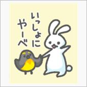 3.11+6年
