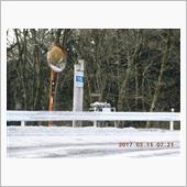 今年初の榛名湖朝練は雪に阻ま ...