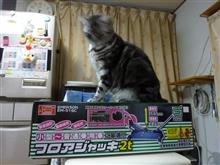 ジャッキーチェン？　佐藤？